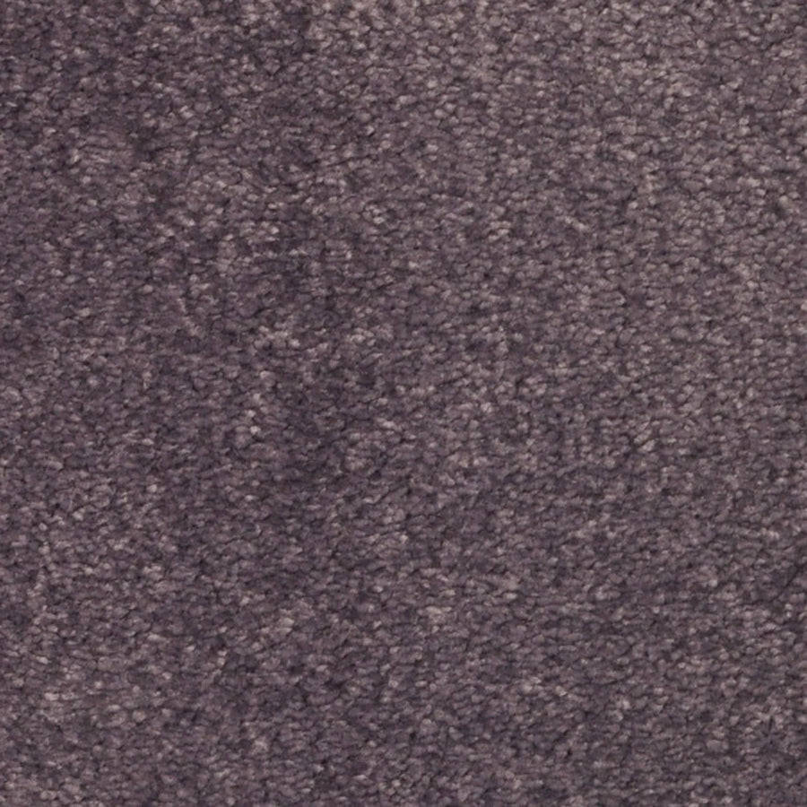 Close-up view of the Seduction On Trend Carpet in Majestic Purple. Its plush, dense fibers and subtle texture deliver luxurious comfort and a modern, inviting look underfoot.