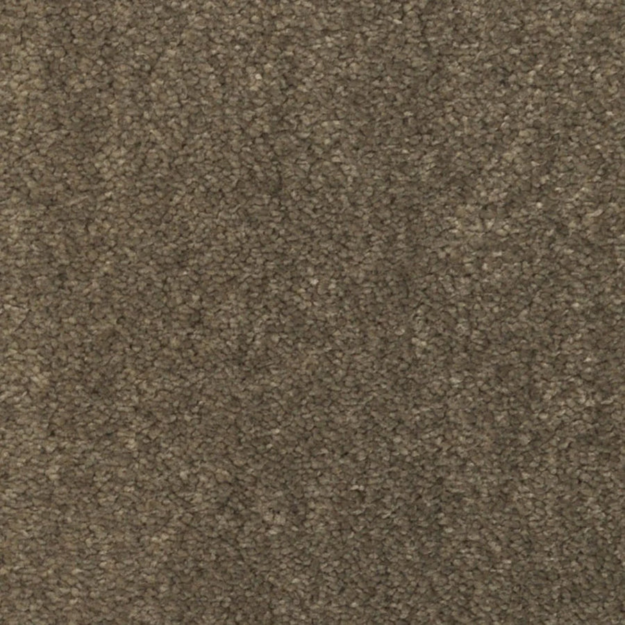 Close-up view of Seduction On Trend Carpet in Manhattan color, featuring tightly packed, short fibers with a subtle mottled pattern in brown shades—a stylish and durable flooring option.