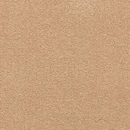 Grand Isle Family Friendly Carpet in Maple Valley features a beige, suede-like textured surface with a uniform, slightly pebbled look. This durable carpet brings family-friendly comfort and the refined appeal of luxury to your home.