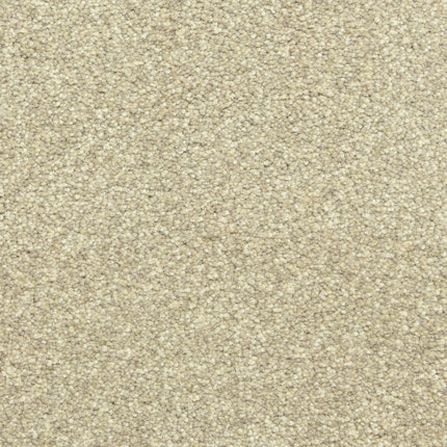 Close-up view of Maroon Bells Family Friendly Carpet in Marble color, featuring a dense, soft pile with tightly-packed, textured fibers—ideal for families.