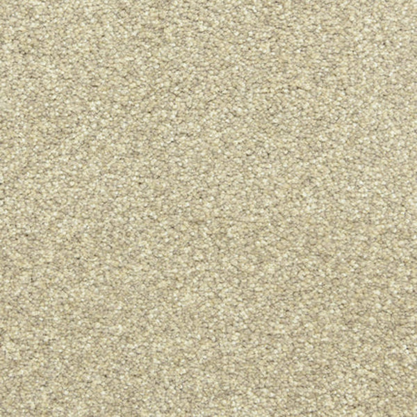Close-up view of Maroon Bells Family Friendly Carpet in Marble color, featuring a dense, soft pile with tightly-packed, textured fibers—ideal for families.