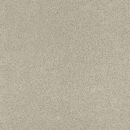 Close-up of Tribute Family Friendly Carpet in Marrakech color—features a soft, textured surface with uniform looped pile and stain resistance, ideal for family spaces.