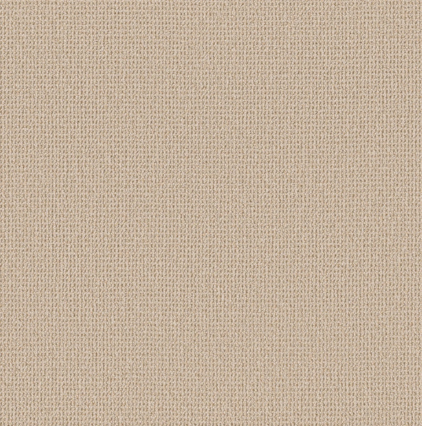 Close-up of the Purrfection Beber Carpet in Matchstick color, showcasing its plush, beige knit-like texture with soft, evenly spaced tufts for a luxurious and consistent look throughout.
