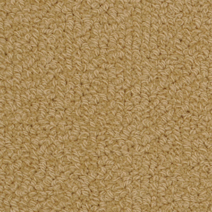 Close-up of Savant Berber Carpet in Mchugh color, highlighting its beige looped texture with tightly woven fibers and a soft yet durable surface—perfect for high-traffic flooring.