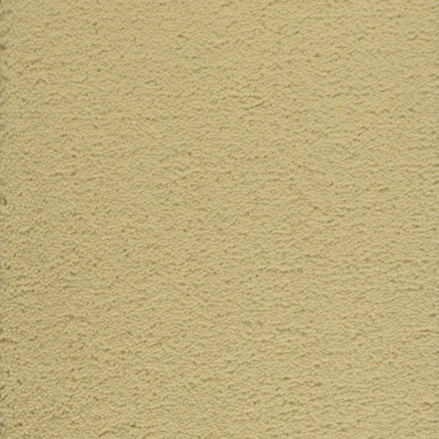 A close-up of the Dolce Family Friendly Carpet in Mellow Yellow shows its textured, durable surface—perfect for high-traffic areas and ideal for families.