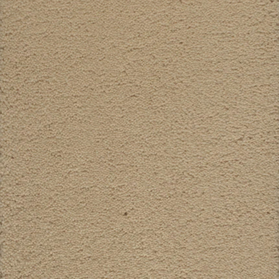 Close-up of a beige stucco wall with a rough, uneven surface—its resilience and texture evoke Dolce Family Friendly Carpet in Melon Tint, designed to withstand high-traffic areas with subtle bumps and ridges.