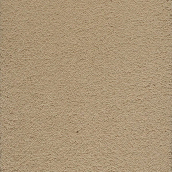 Close-up of a beige stucco wall with a rough, uneven surface—its resilience and texture evoke Dolce Family Friendly Carpet in Melon Tint, designed to withstand high-traffic areas with subtle bumps and ridges.