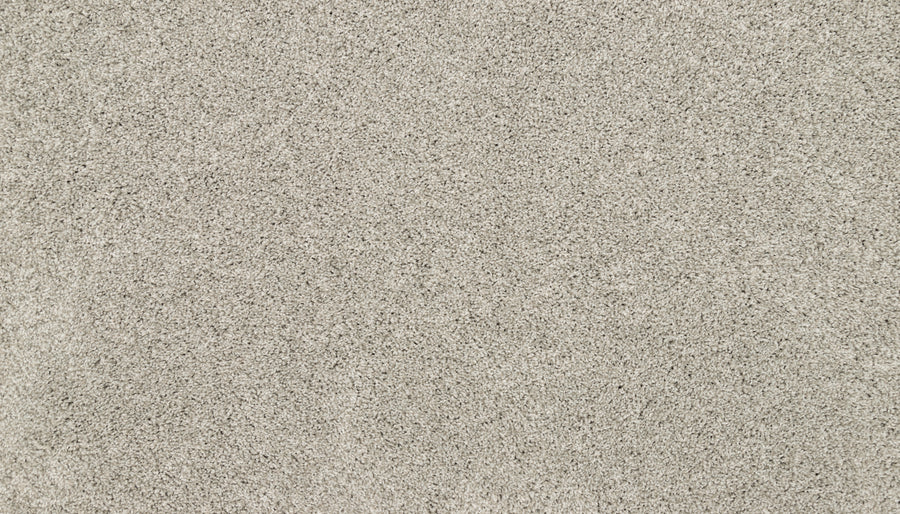 Close-up view of Furocious I Pet Friendly Carpet in light grey, featuring soft, plush texture and densely packed fibers for a uniform look—an excellent, pet-friendly choice for interior design.