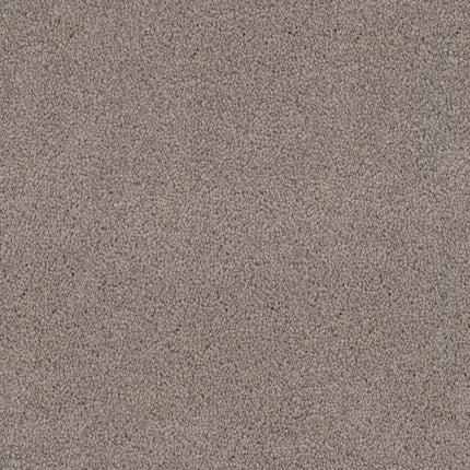 Close-up of Tribute Family Friendly Carpet in Meritage color, highlighting its dense, soft, and evenly looped fiber pattern for a durable and inviting surface.