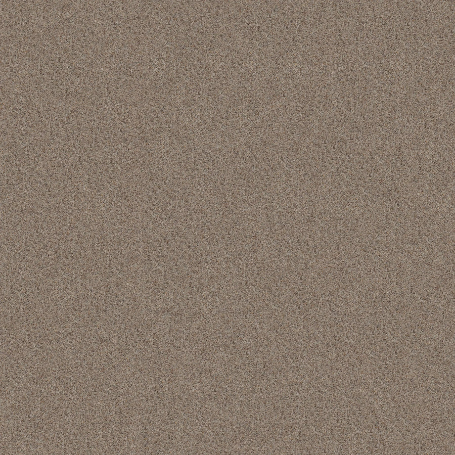 Close-up of Canyon Lake Family Friendly Carpet in Mesa Taupe, featuring densely packed fine brown, tan, and reddish granules for a modern, resilient flooring appearance.