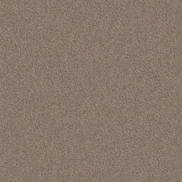 Close-up of Canyon Lake Family Friendly Carpet in Mesa Taupe, featuring densely packed fine brown, tan, and reddish granules for a modern, resilient flooring appearance.