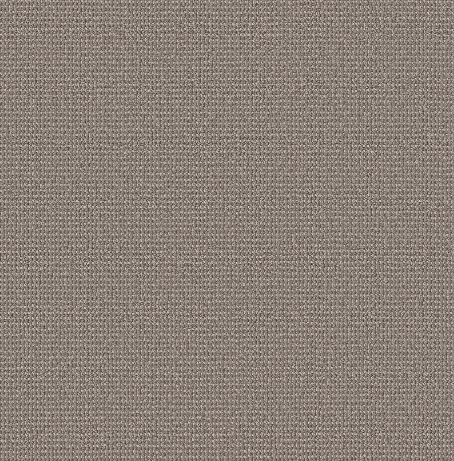 Close-up of Purrfection Beber Carpet in Metropolis, featuring a fine, even weave and plush texture that showcases its luxurious quality.