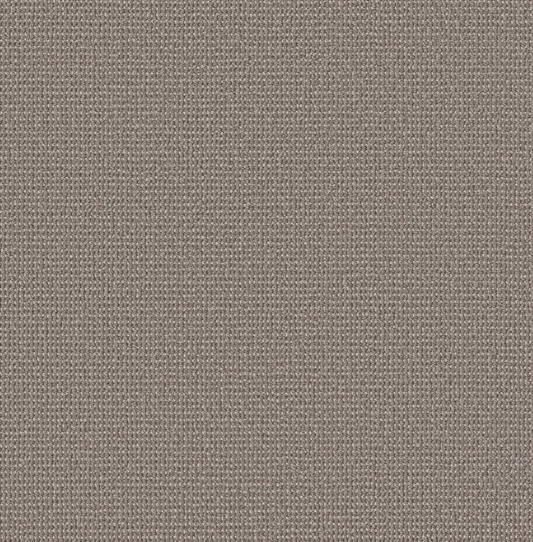 Close-up of Purrfection Beber Carpet in Metropolis, featuring a fine, even weave and plush texture that showcases its luxurious quality.
