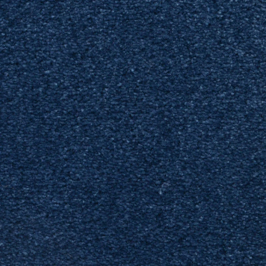 Close-up of Seduction On Trend Carpet in Midnight Blue, showing its textured, soft, and slightly fuzzy surface that evokes a luxurious, upscale look.