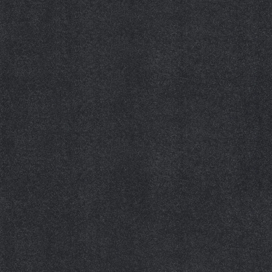 A close-up of Awaken Spirit Pet Friendly Carpet in Midnight shows its dark gray, textured surface. The matte finish and subtle shading give it a modern look, while the design suggests lasting durability for any space.