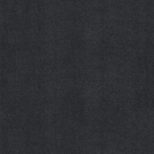 A close-up of Awaken Spirit Pet Friendly Carpet in Midnight shows its dark gray, textured surface. The matte finish and subtle shading give it a modern look, while the design suggests lasting durability for any space.