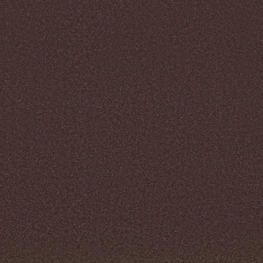 A close-up of Awaken Spirit Pet Friendly Carpet in Midsummer color, highlighting its soft, textured surface—an essential flooring choice valued for comfort and durability.
