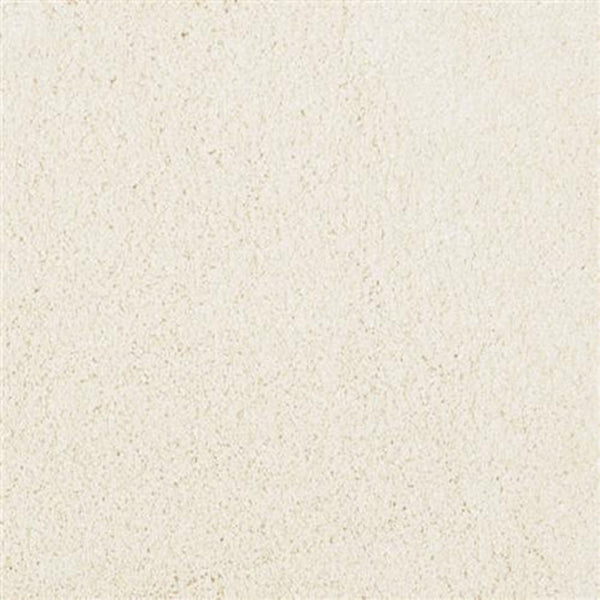 A close-up of the Mill Cream color in Oceanside Family Friendly Carpet shows fine, evenly spread grains—offering perfect inspiration for family-friendly, plush flooring.