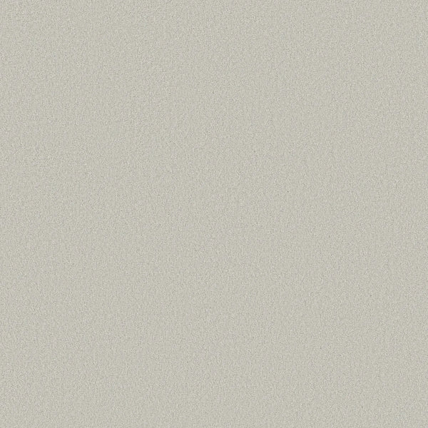 A close-up view of the Smooth Tone Pet Friendly Carpet in Minimalist, showcasing its smooth, light gray texture that brings subtle elegance and durability perfect for everyday living.