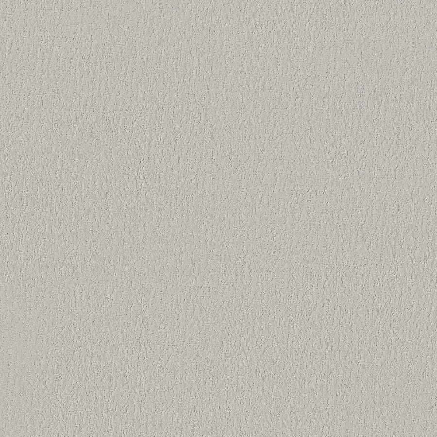 Minimalist color Crafted Tone Pet Friendly Carpet features a light gray textured surface, resembling painted or plastered walls with subtle rough patterns and fine lines, perfect for modern interiors.