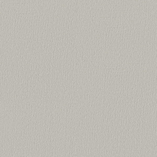 A close-up of Crafted Tone Blue Pet Friendly Carpet in Minimalist color, highlighting its smooth, light gray texture with subtle color variations and fine, even grain.