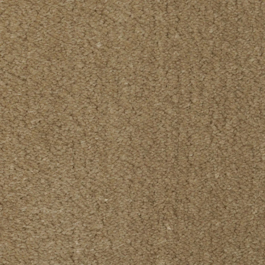 Close-up of Seduction On Trend Carpet in Mink color, featuring a soft, looped pile with a plush, textured surface. This durable, light brown flooring offers a warm and cozy atmosphere for any space.