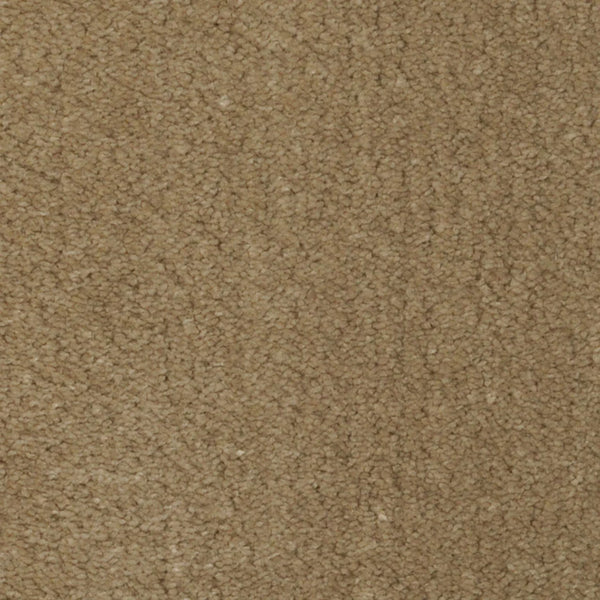 Close-up of Seduction On Trend Carpet in Mink color, featuring a soft, looped pile with a plush, textured surface. This durable, light brown flooring offers a warm and cozy atmosphere for any space.