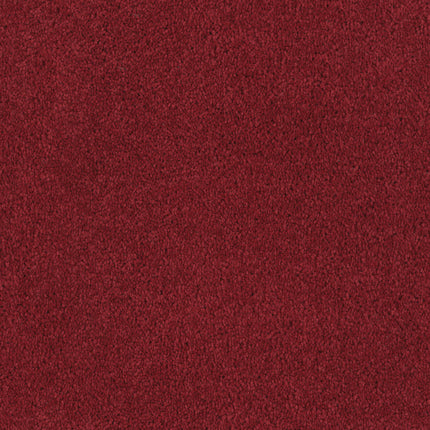 A close-up of Tribute Family Friendly Carpet in Mirage color shows its soft, even pile—ideal as a durable, family-friendly carpet for any home.
