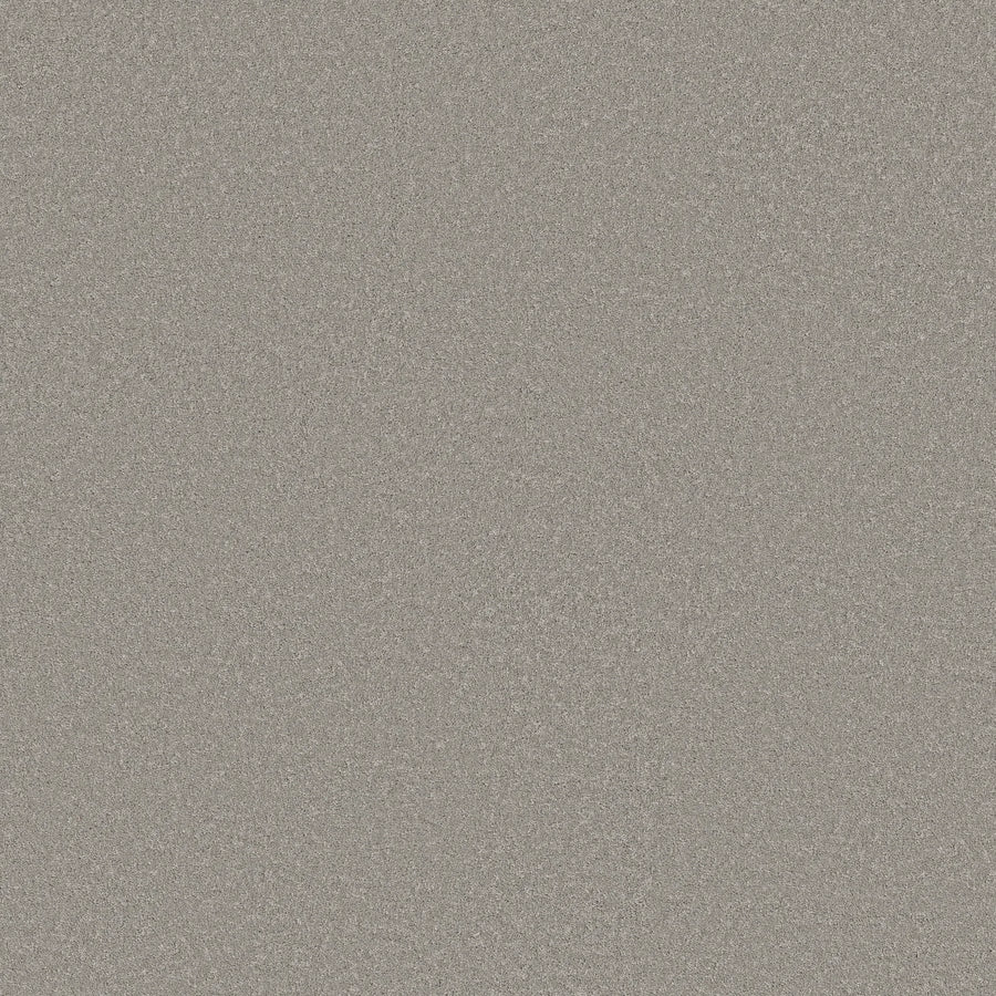 A close-up of Smooth Tone Pet Friendly Carpet in Mirage—a light gray, finely speckled surface that’s stylish and stain resistant, perfect for elegant, pet-friendly homes.