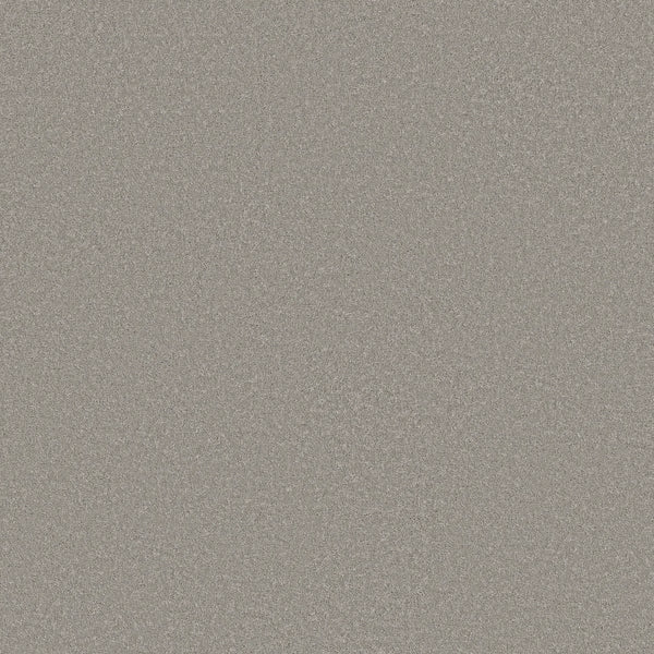 A close-up of the Smooth Tone Blue Pet Friendly Carpet in Mirage shows its textured, gray surface with a subtle blue tone—resembling stone and ideal for durable, stylish flooring.