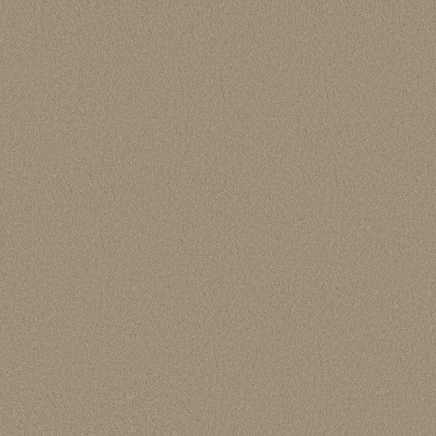 A close-up of Classic Tone Blue Pet Friendly Carpet in Mirage—a uniform, fine-textured surface in light tan/beige, resembling smooth sandstone. Durable and pet friendly, it's perfect for a modern space seeking both style and resilience.