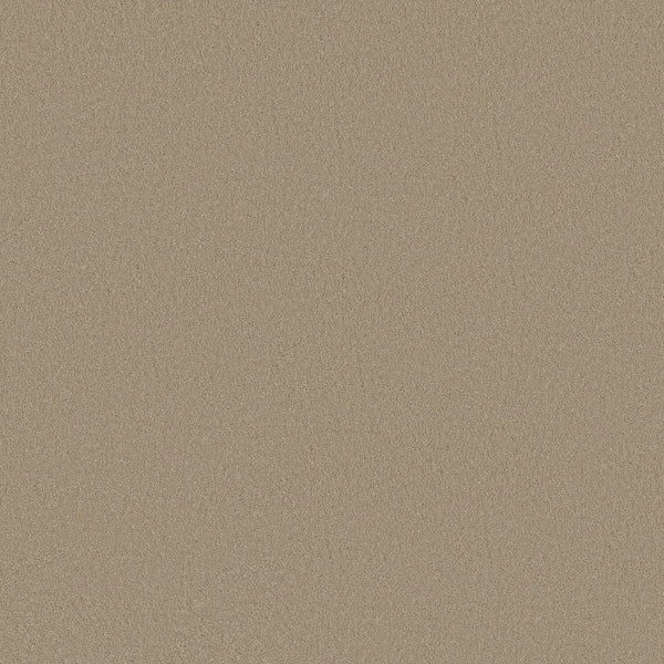 A close-up of Classic Tone Blue Pet Friendly Carpet in Mirage—a uniform, fine-textured surface in light tan/beige, resembling smooth sandstone. Durable and pet friendly, it's perfect for a modern space seeking both style and resilience.