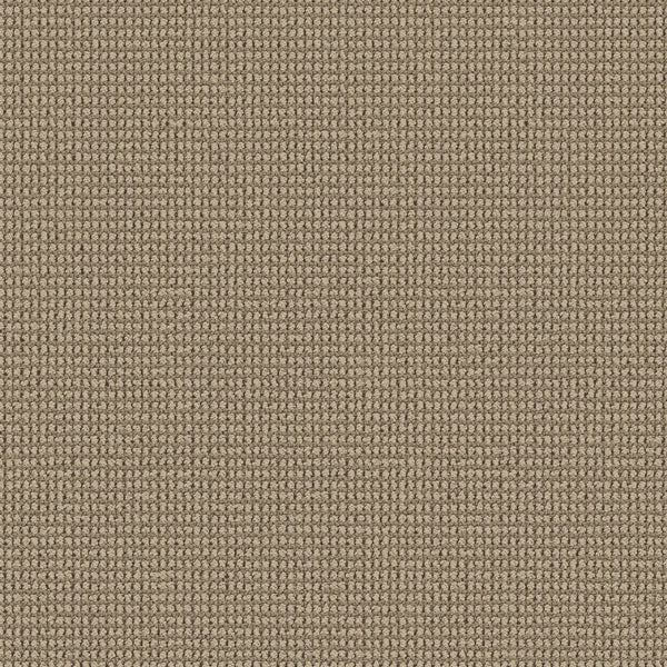 Close-up of Knitted Tone Pet Friendly Carpet in Mirage—a textured beige surface with tight, uniform square weaves, crafted from premium materials. Built for durability, it's an ideal choice for high-traffic areas.