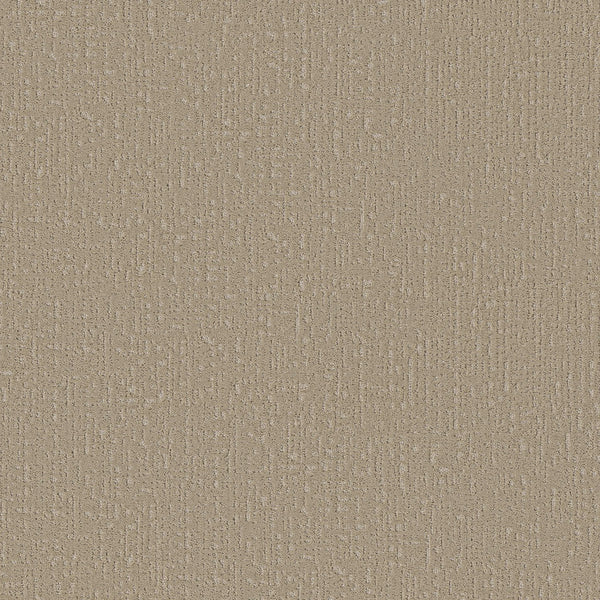 A close-up of Curated Tone Pet Friendly Carpet in Mirage shows a textured beige surface with a soft, woven-like pattern. Its neutral, durable design offers an understated and practical background ideal for everyday living spaces.