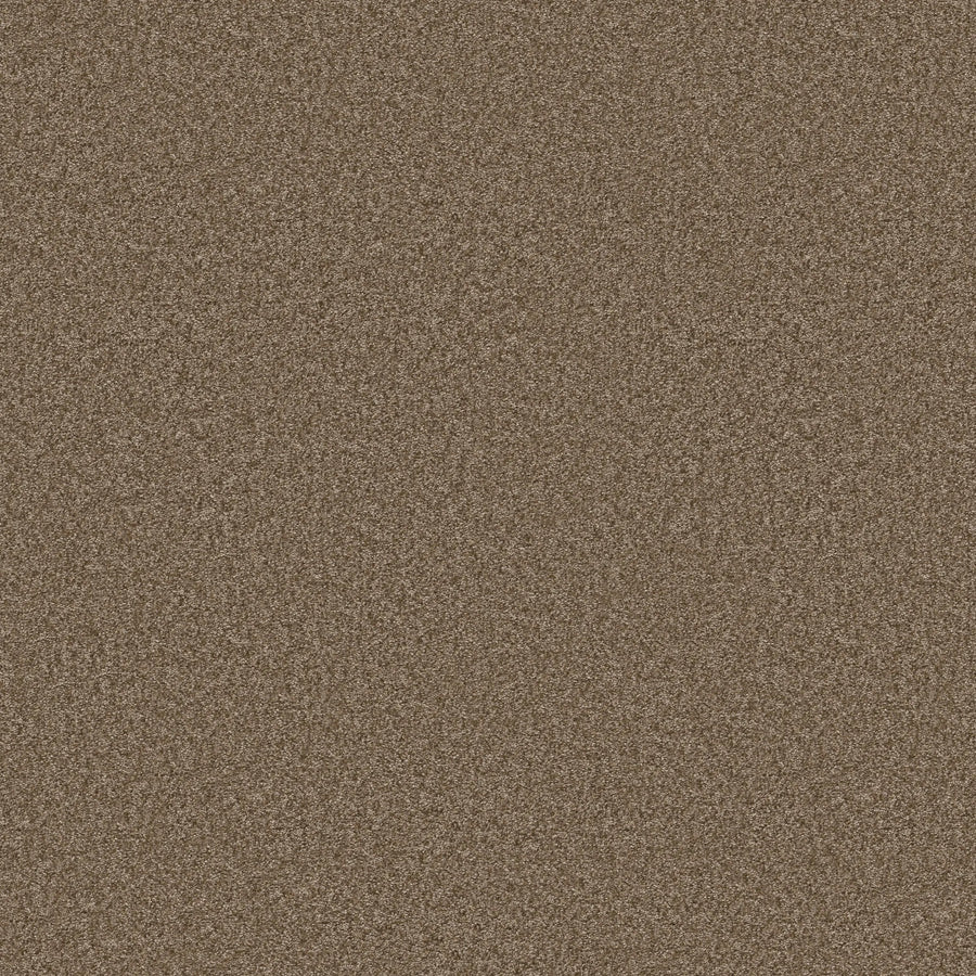 Close-up view of the textured "Mission" shade of You Got This III Pet Friendly Carpet, highlighting its uniform, grainy surface and durable finish ideal for modern flooring.