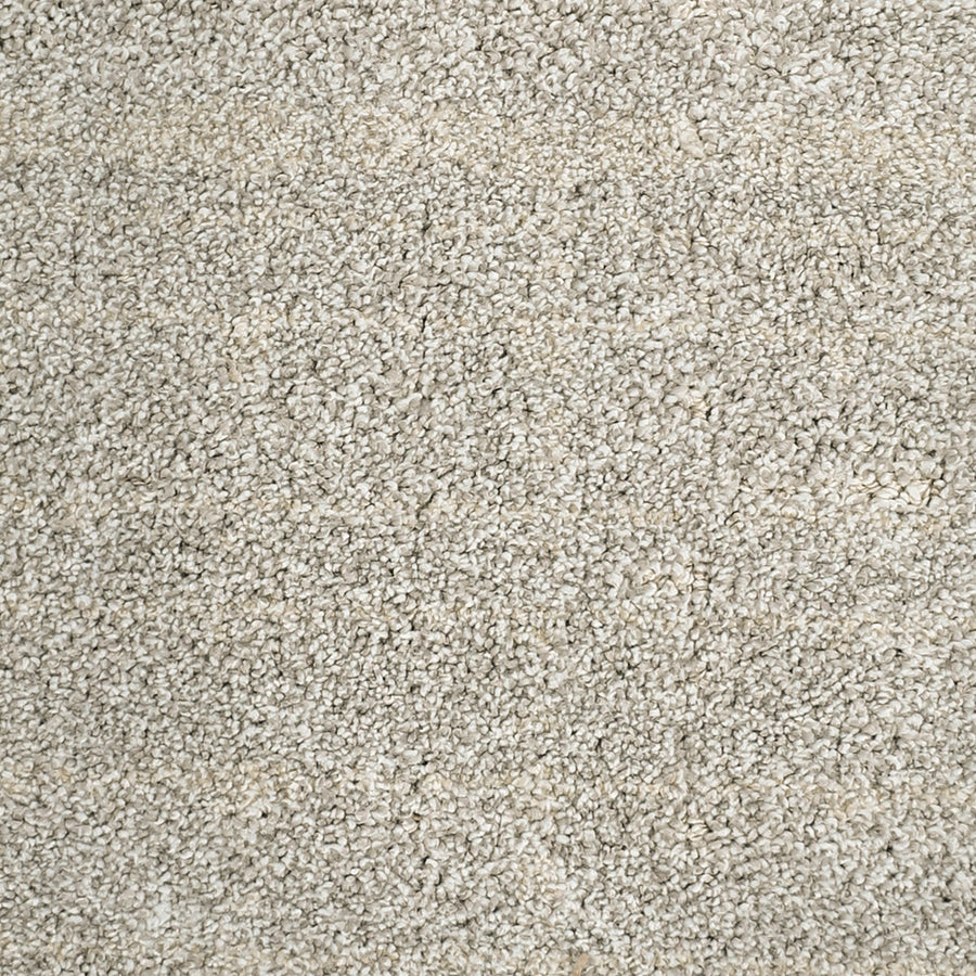 Close-up of Furry Fun Pet Friendly Carpet in beige, featuring a textured, dense looped pile for a soft, uniform surface—ideal for adding elegance and pet-friendly durability to any room.