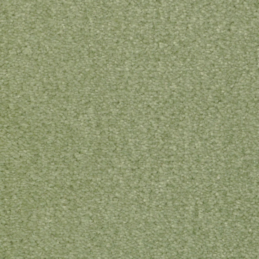 Close-up of Seduction On Trend Carpet in Misty Meadow, featuring a textured, light green surface with soft, tightly packed fibers for elegant comfort.