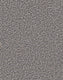 Modern Sisal On Trend Carpet - Calm Tide