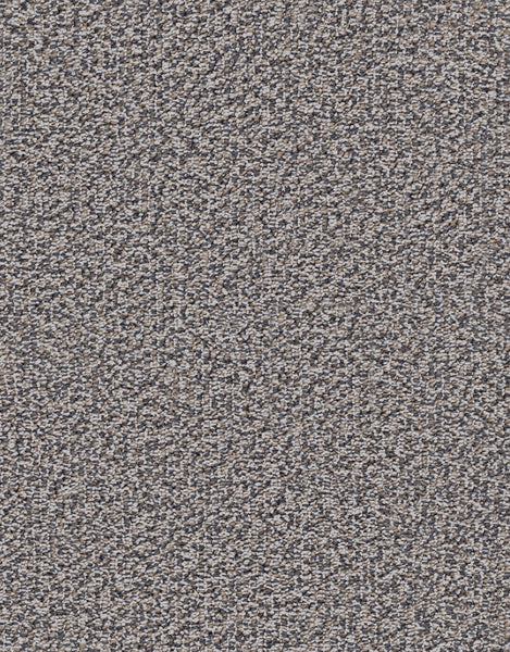 Close-up of the Modern Sisal On Trend Carpet in Calm Tide, highlighting its dense, looped fiber pattern crafted from natural sisal fibers for a slightly rough texture and durable flooring.