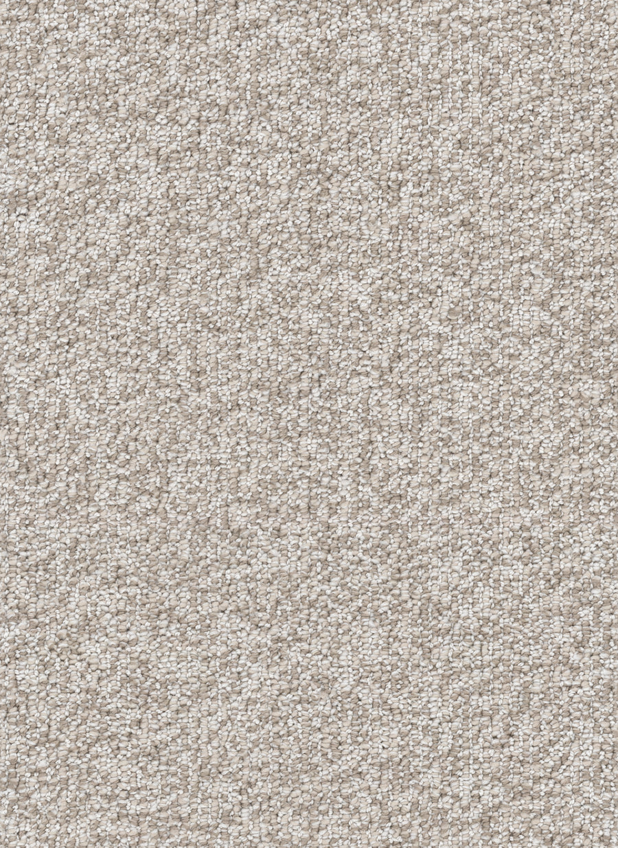 Close-up of a textured Satin Seagrass carpet, featuring a dense, looped pile with small, tightly packed fibers crafted from natural sisal. The Modern Sisal On Trend Carpet delivers both style and durable flooring for any contemporary space.