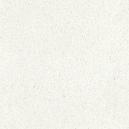 Close-up of Tribute Family Friendly Carpet in Montrachet: a durable, white textured surface with small, even speckles and a slightly grainy look—ideal for families seeking stain resistance.