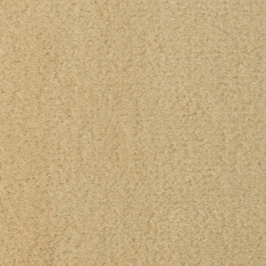 Close-up view of Seduction On Trend Carpet in Morning Glow, featuring a soft, looped pile surface with a luxurious beige texture.