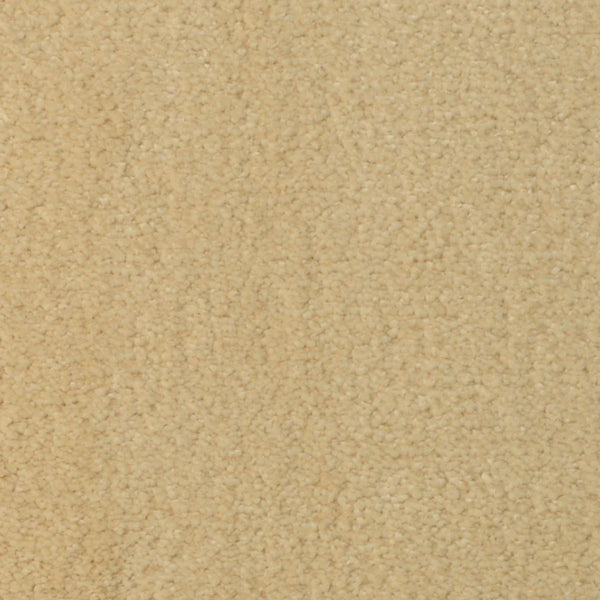 Close-up view of Seduction On Trend Carpet in Morning Glow, featuring a soft, looped pile surface with a luxurious beige texture.