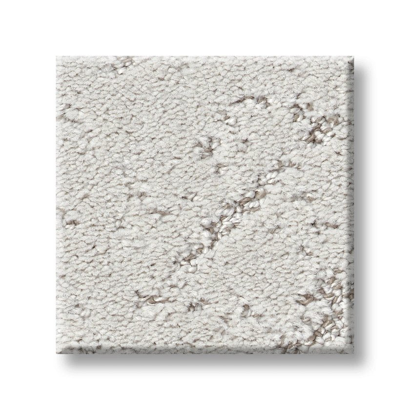 Sincere Focus On Trend Carpet