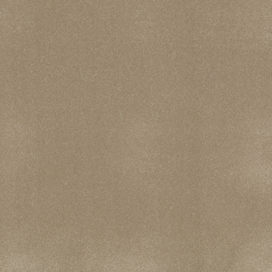 A close-up of Awaken Spirit Pet Friendly Carpet in Muffin shows a smooth, light brown surface with fine, even texture and subtle shading—offering a contemporary style that combines comfort with visual durability.