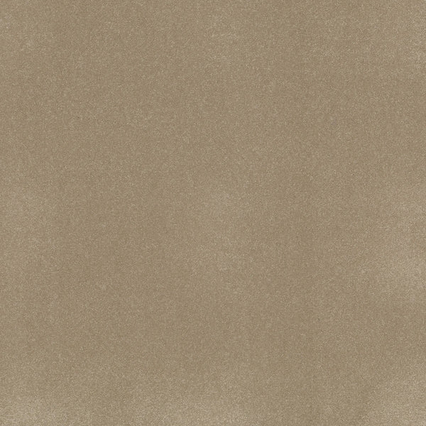A close-up of Awaken Spirit Pet Friendly Carpet in Muffin shows a smooth, light brown surface with fine, even texture and subtle shading—offering a contemporary style that combines comfort with visual durability.