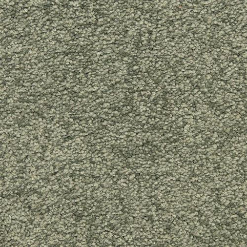 Close-up of Morgan Bay Family Friendly Carpet in Muir Woods—features tightly packed, looped yarn for a uniform, textured, stain resistant surface that's perfect for busy households seeking durable, family friendly flooring.
