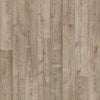 Mushroom Oak