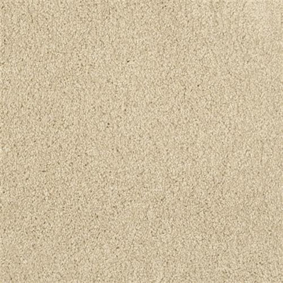 Close-up of Oceanside Family Friendly Carpet in Muskoka color, featuring a soft, textured surface with subtle fiber variations for a cozy, neutral look that’s perfect for any family space.