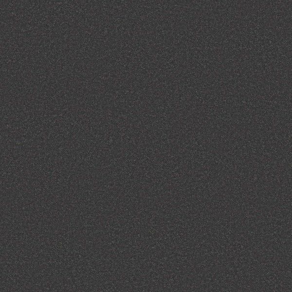 A close-up of the Smooth Tone Pet Friendly Carpet in Mysterious reveals a dark, textured surface with a speckled, grainy look—much like durable, stain-resistant carpeting built to withstand everyday wear.